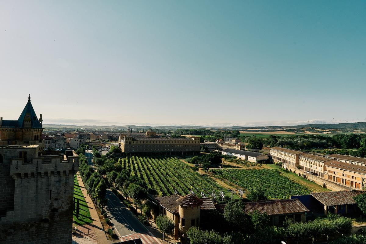 La ciudad de Olite y sus viñedos