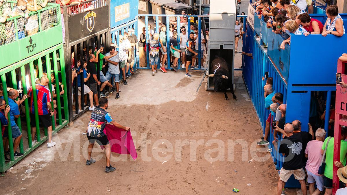 Bous a l'Alcora 2025