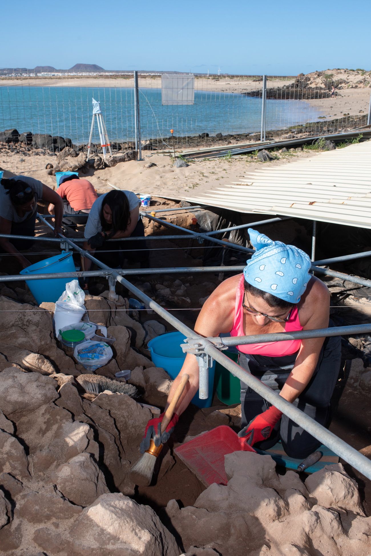 Retoman los trabajos en el yacimiento arqueológico Lobos I