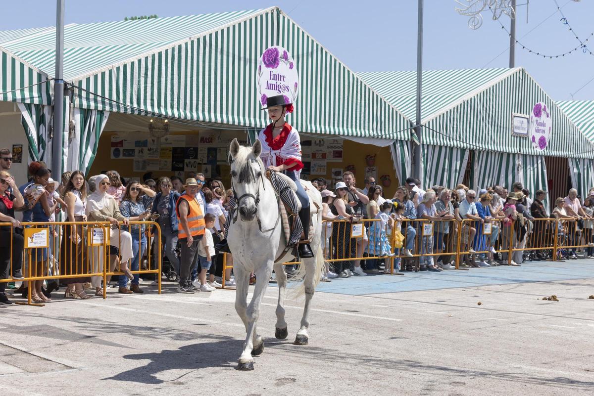 Desfile de carrozas y caballistas de la Feria de Mayo 2026 de Torrevieja este domingo
