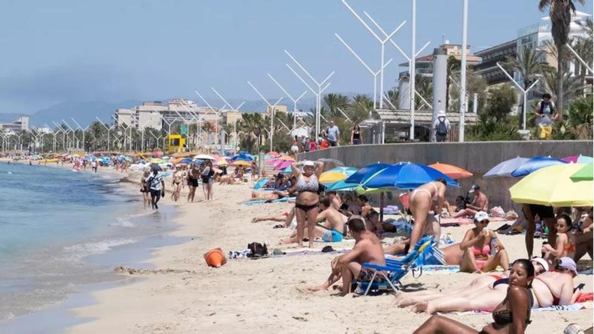 Tramos de la Platja de Palma se han estrechado por el avance del nivel del mar.