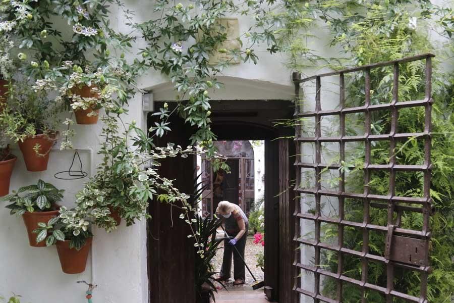 Los patios de Córdoba, San Lorenzo San Rafael