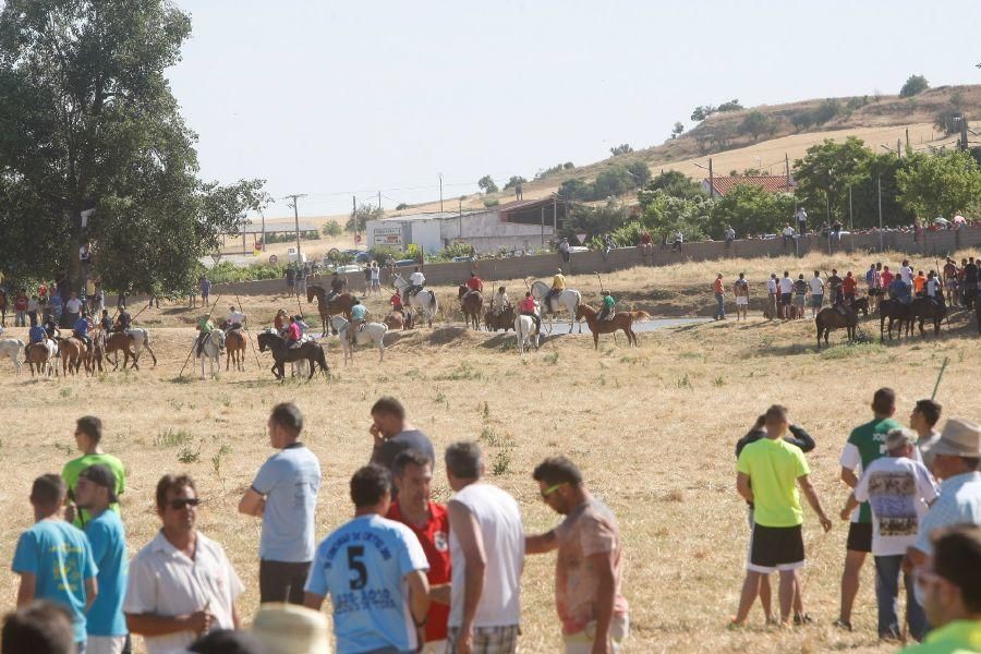 Fiestas en Zamora: Segudos espantes de Fuentesaúco