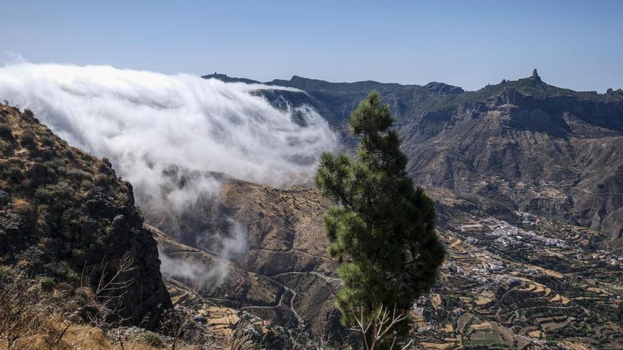 Los secretos naturales de Canarias: el margullo del mar de nubes