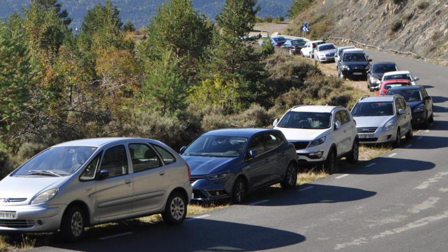 Cua de cotxes de buscadors de bolets aparcats a la carretera dels Rasos de Peguera, aquest mes.