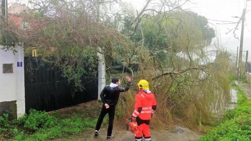 Operarios de Emerxencias-Protección Civil tuvieron que cortar un árbol caído en Santa Marta. |   // FDV