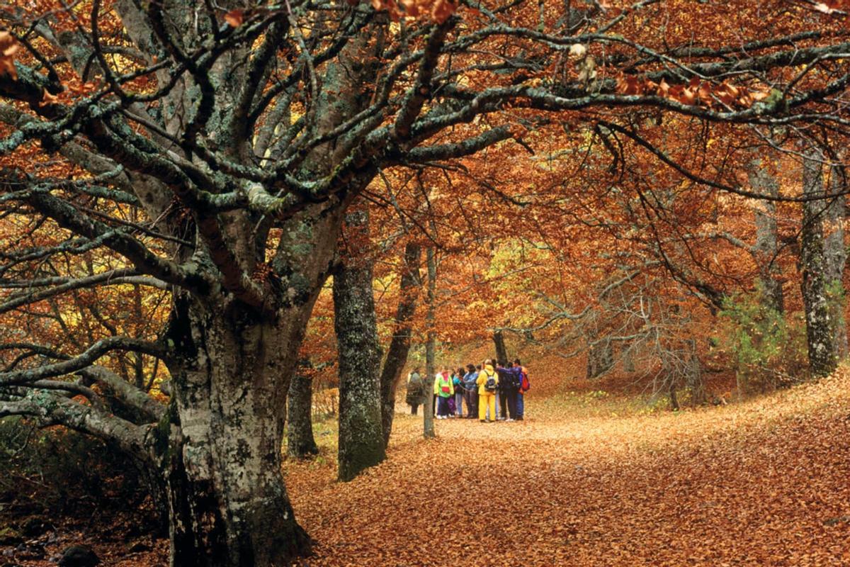 Este paraje fue declarado Patrimonio de la Humanidad por la UNESCO en 2017