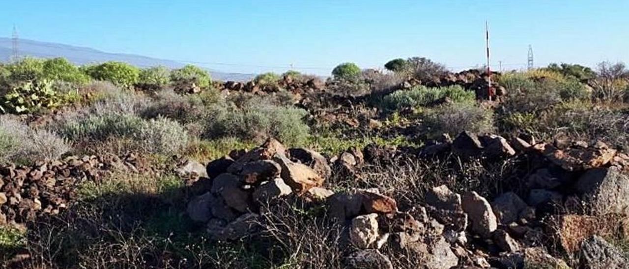 Declarada BIC la zona arqueológica de Los Llanos de Ifara, en Tenerife