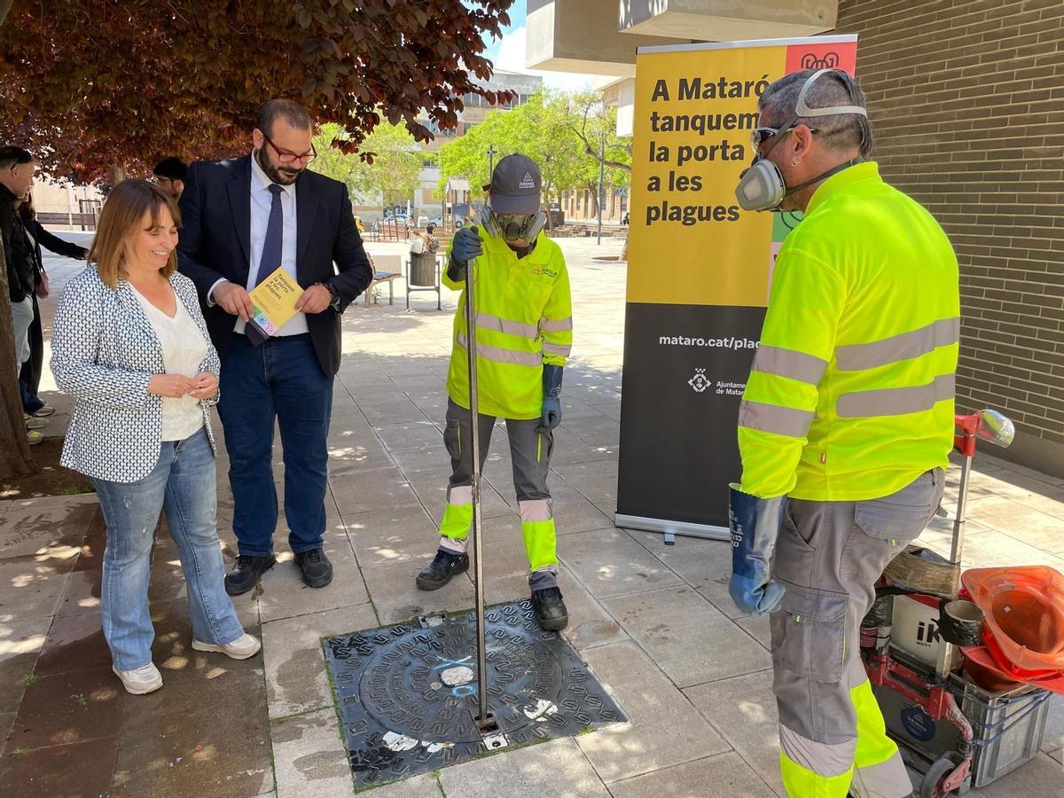 La concejala de Seguridad de Mataró, Núria Moreno, y el alcalde de la ciudad, David Bote, en uno de los pozos en que se llevan a cabo tratamientos preventivos de plagas