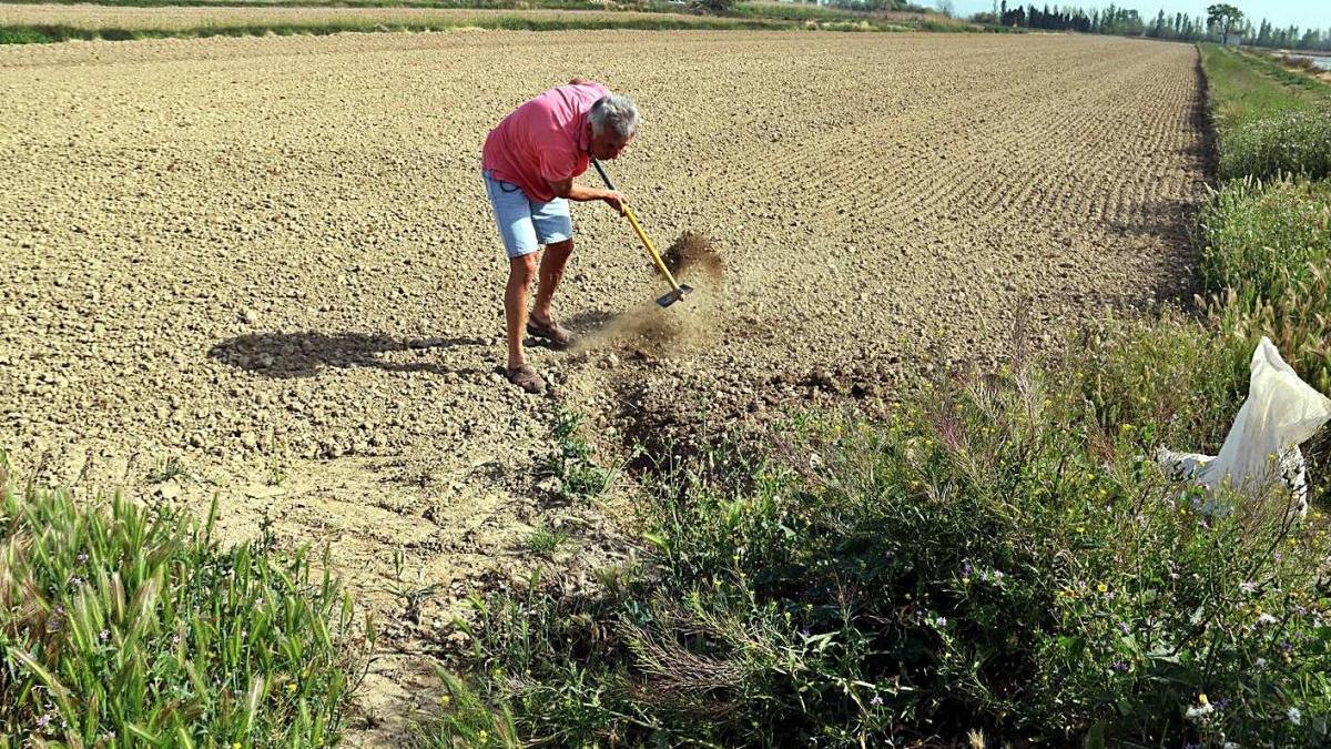 Catalunya rep 216 milions d&#039;euros en ajuts directes de la PAC del 2020