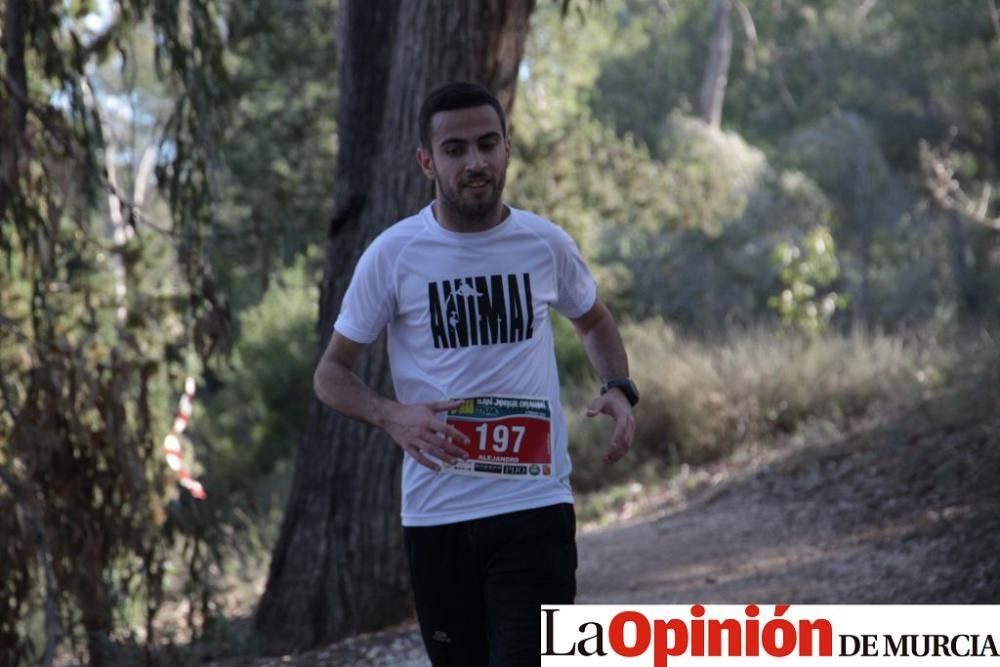 San Jorge Dragon en La Alcayna