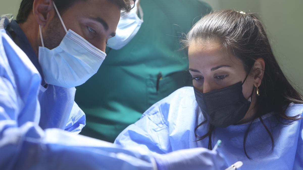 Dos médicos residentes practican con cadáveres en el Hospital General de Alicante.