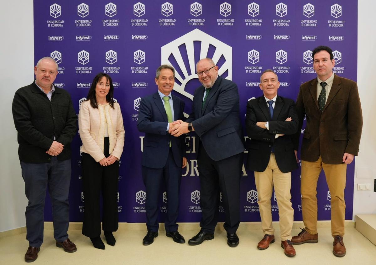 La Universidad de Córdoba contratará suministro eléctrico 100% renovable para todos sus centros.