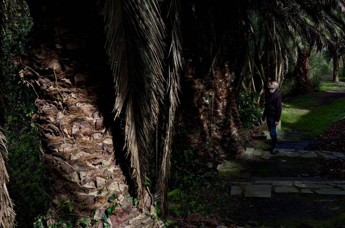 EN IMÁGENES: Así es el bosque-jardín de Luarca EN IMÁGENES: Así es el bosque-jardín de Luarca