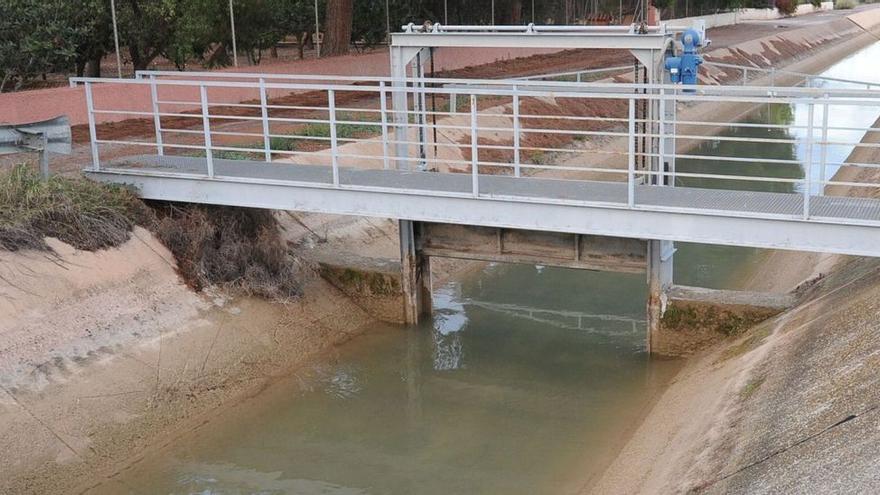 El regadío de la cuenca del Segura se escapa de los recortes de agua en enero