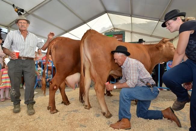 FIESTAS DE SAN GREGORIO