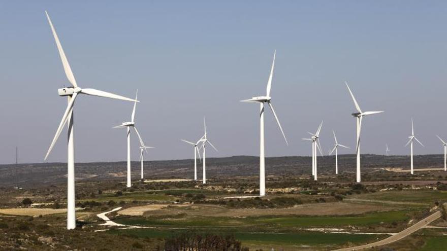 El Colegio de Biólogos de Aragón exige a la DGA una moratoria a la instalación de renovables