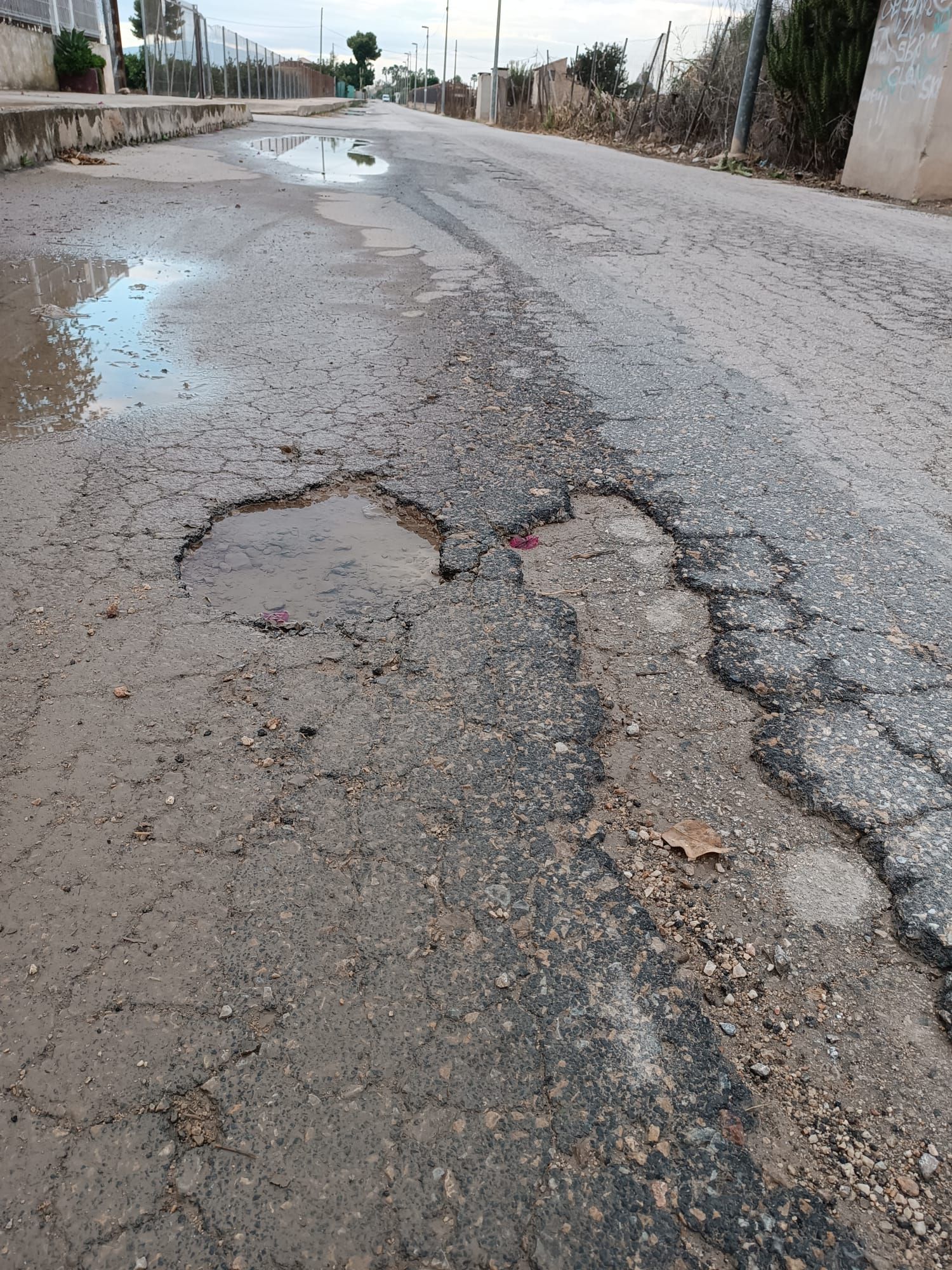 WhatsApp Image 2025-10-01 at 09.34.03 (4).jpeg