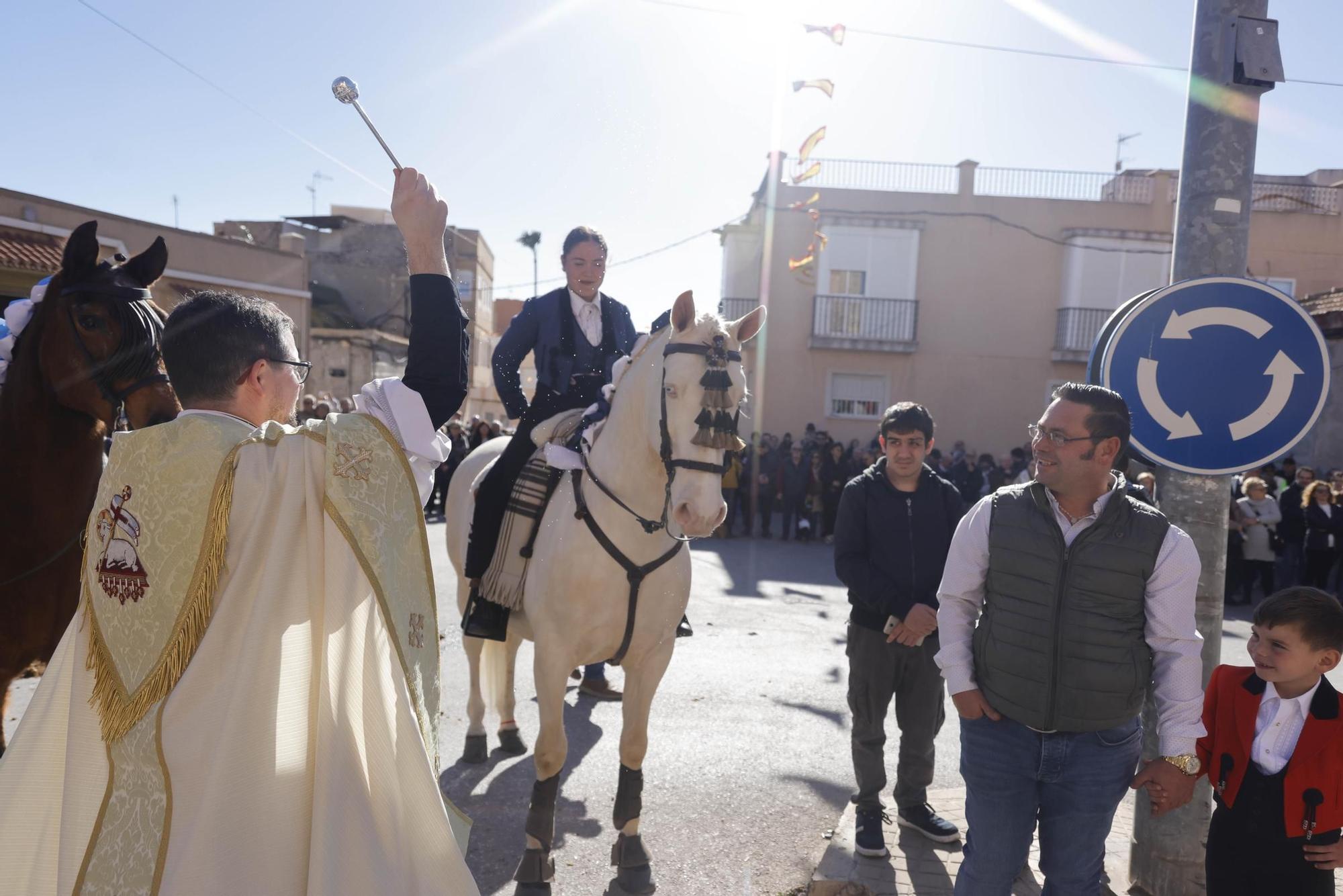 FOTOS: los mejores momentos de la bendición de animales por San Antón en Cartagena