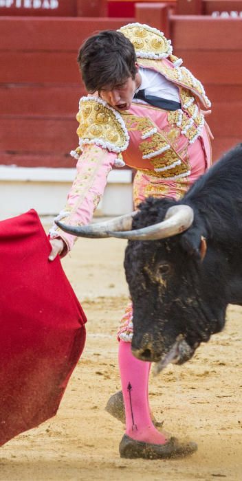 El novillero alicantino Jorge Rico triunfa en casa