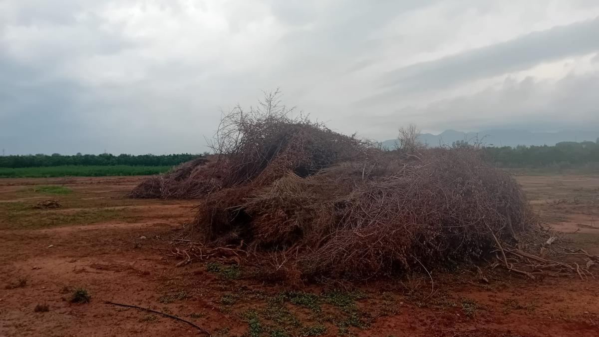 Restos agrícolas acumulados en la actualidad ante la prohibición de quemas por parte de la Generalitat valenciana.