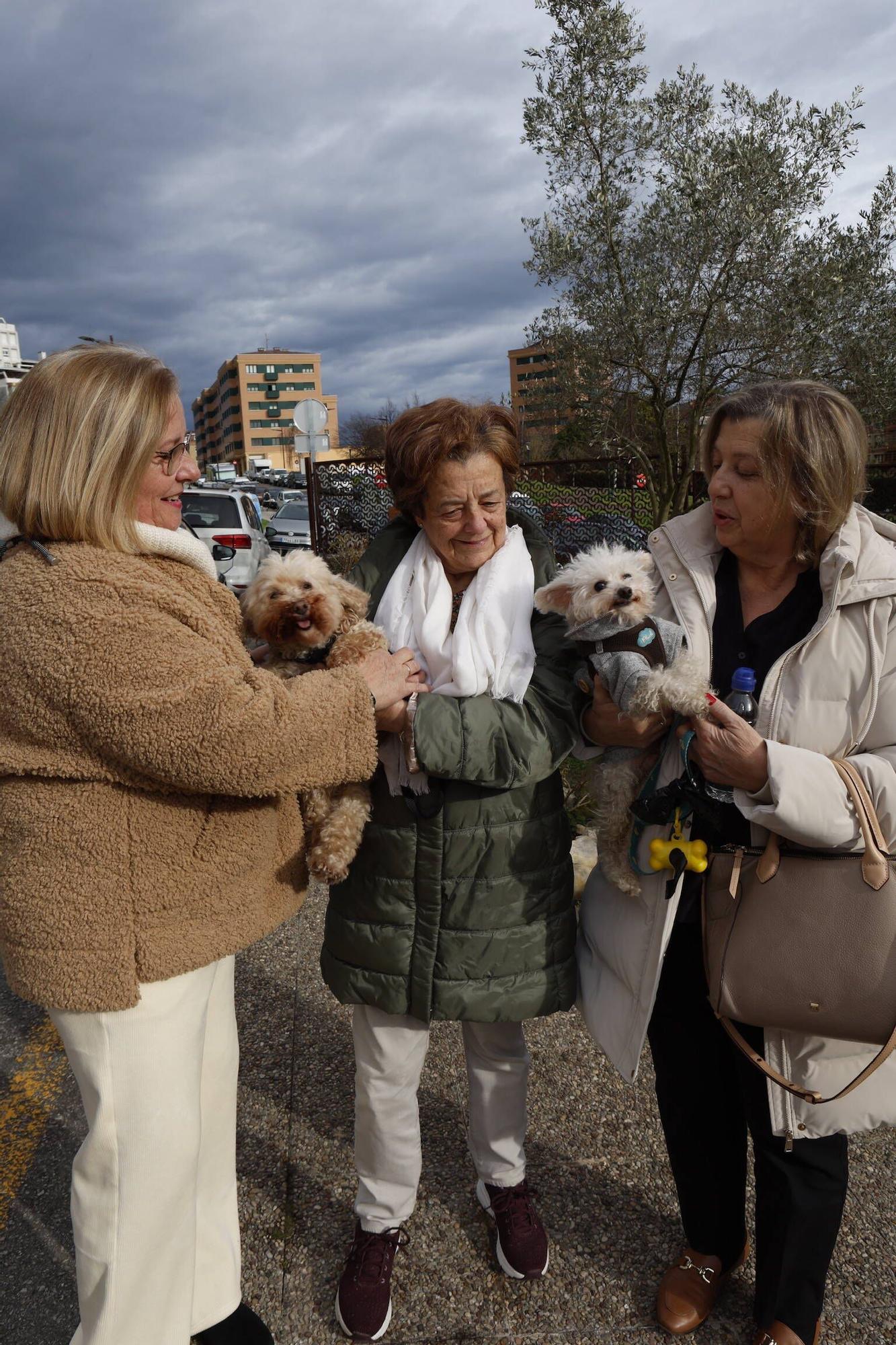 Bendición mascotas en Gijón en la parroquia de Viesques