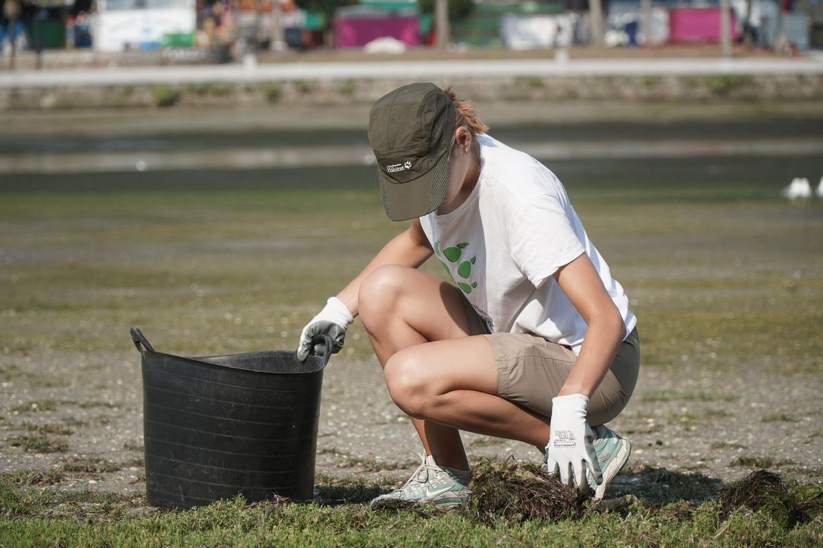 Limpieza ambiental en la ría do Burgo