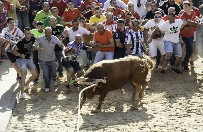 La carrera del Toro Enmaromado 2017 Razonador