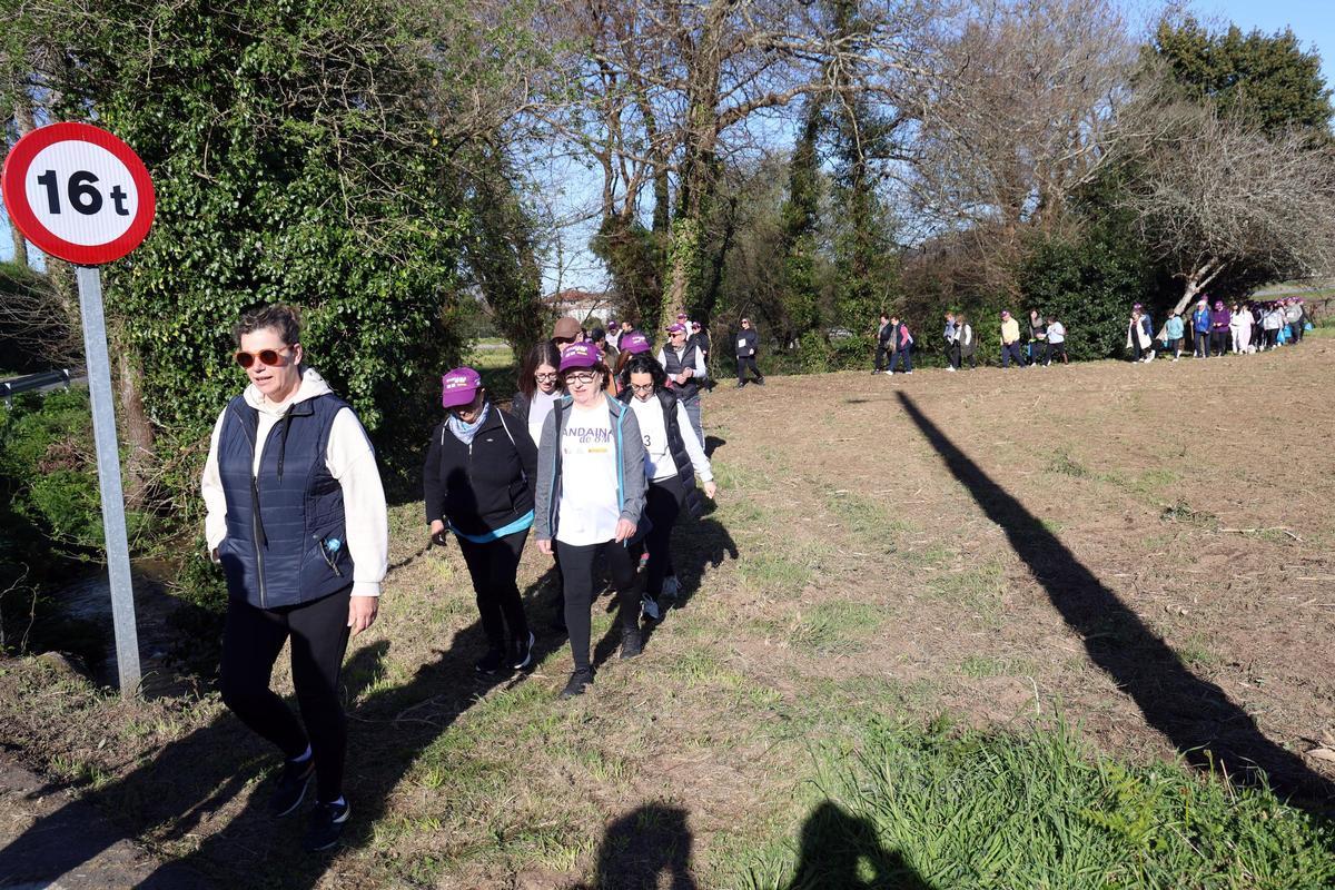 Asistentes a la ruta de Meis.