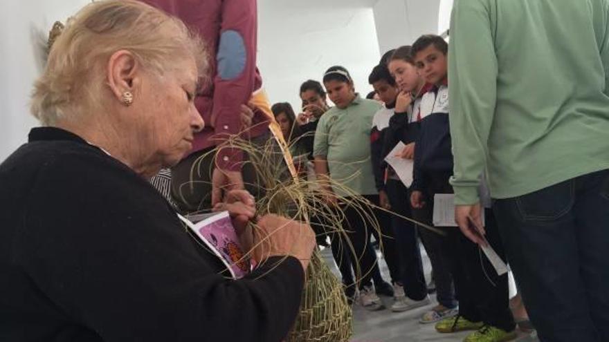 Plantas autóctonas como materia prima