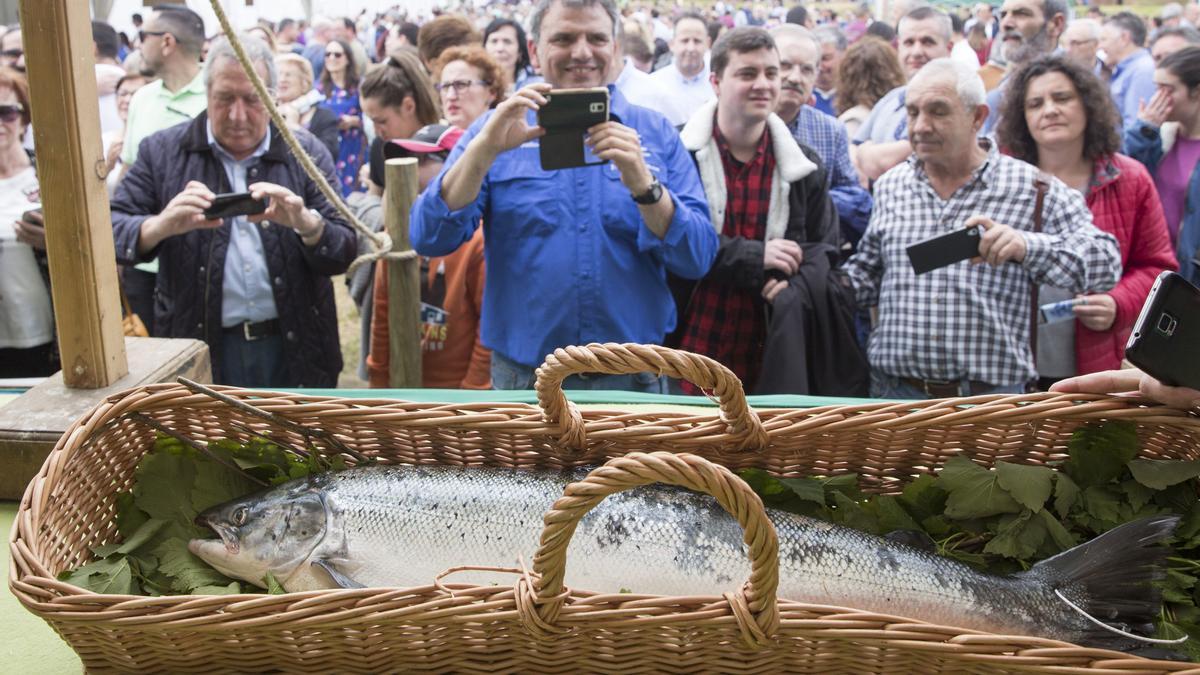 Público haciendo fotos al campanu, en la feria de Cornellana, en Salas, en 2019. | Carolina Díaz