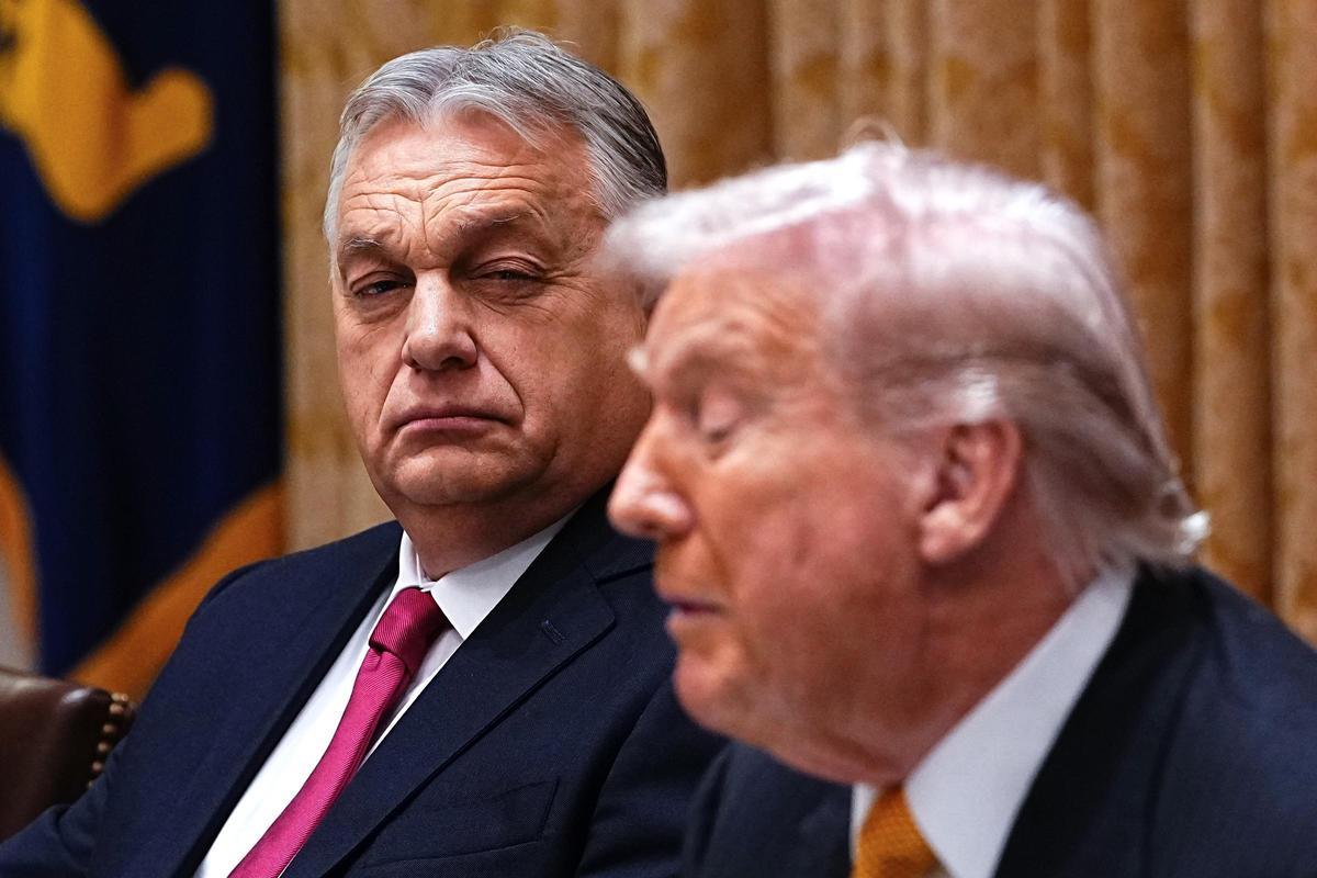El presidente de Estados Unidos, Trump, un almuerzo bilateral con el primer ministro de Hungría, Viktor Orbán, en la Sala del Gabinete de la Casa Blanca.Foto archivo