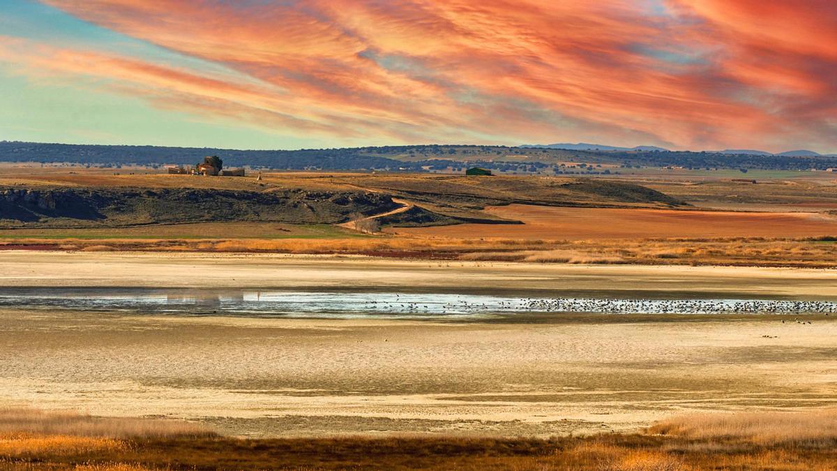 La Laguna de Gallocanta es uno de los grandes desconocidos del interior de la Península.