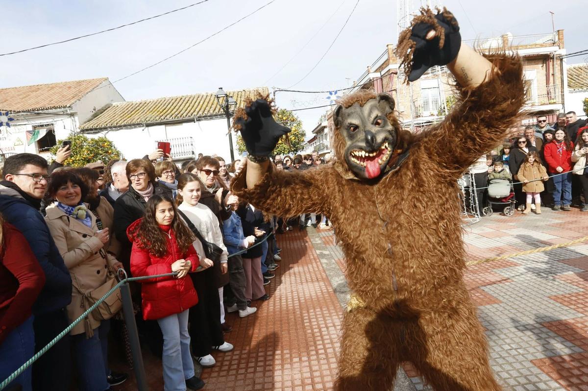 El Baile de los Locos de Fuente Carreteros, en imágenes