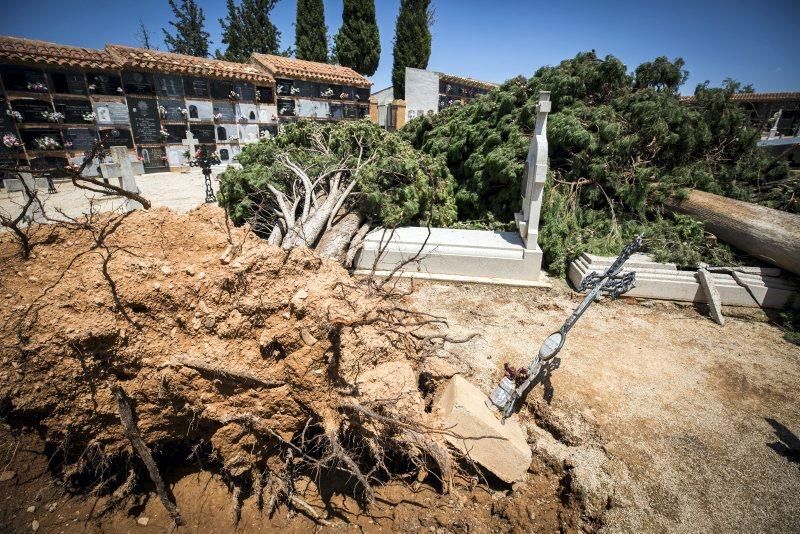 Efectos de la tormenta en Longares