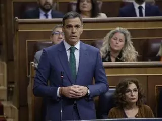 Sánchez presentarà les seves propostes de regeneració democràtica el 17 de juliol al Congrés