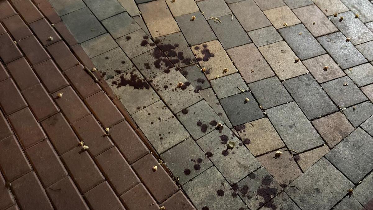La sangre del apuñalado en Molina de Segura.