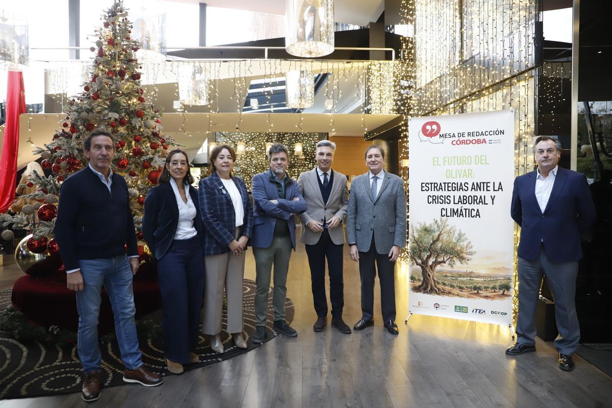 Radiografía del sector oleícola en Córdoba, en imágenes