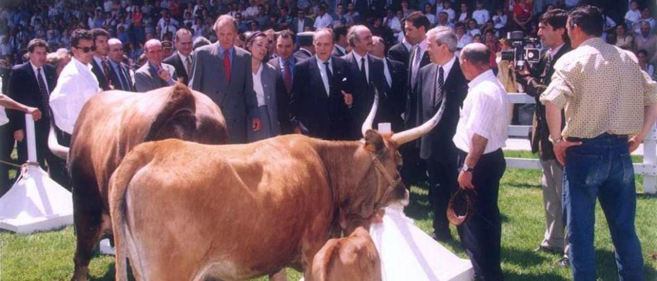 Juan Carlos I observa vacas autóctonas en presencia de Fraga y Maril en su visita de 1996. // Bernabé