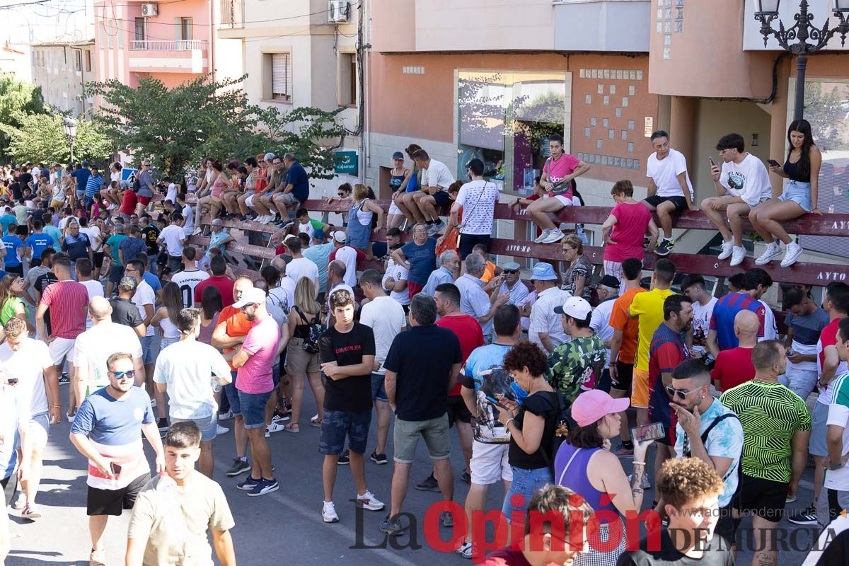 Último encierro en las Fiestas de Moratalla