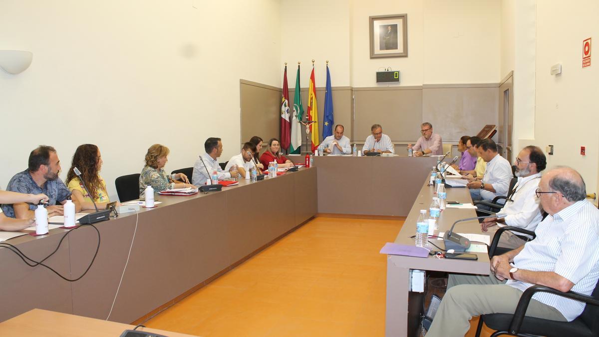 Pleno del Ayuntamiento de Baena.