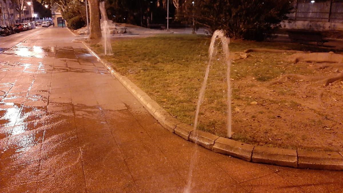 Dos aspersores rotos de la plaza de los Patines de Palma riegan a chorro la calle