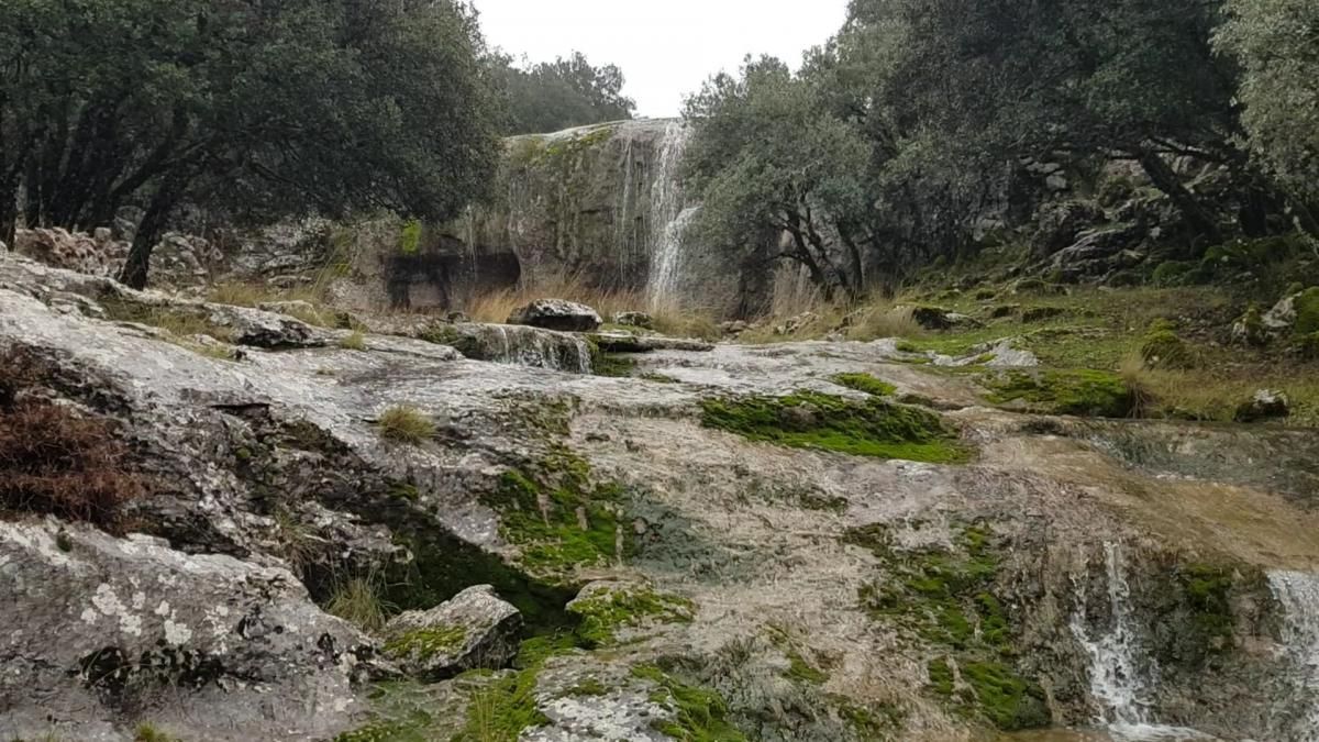 El paraíso tras las lluvias en la sierra de Cabra tras las lluvias