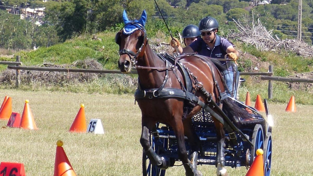 Campionat de Catalunya d'Enganxes prova d'obstacles 2024