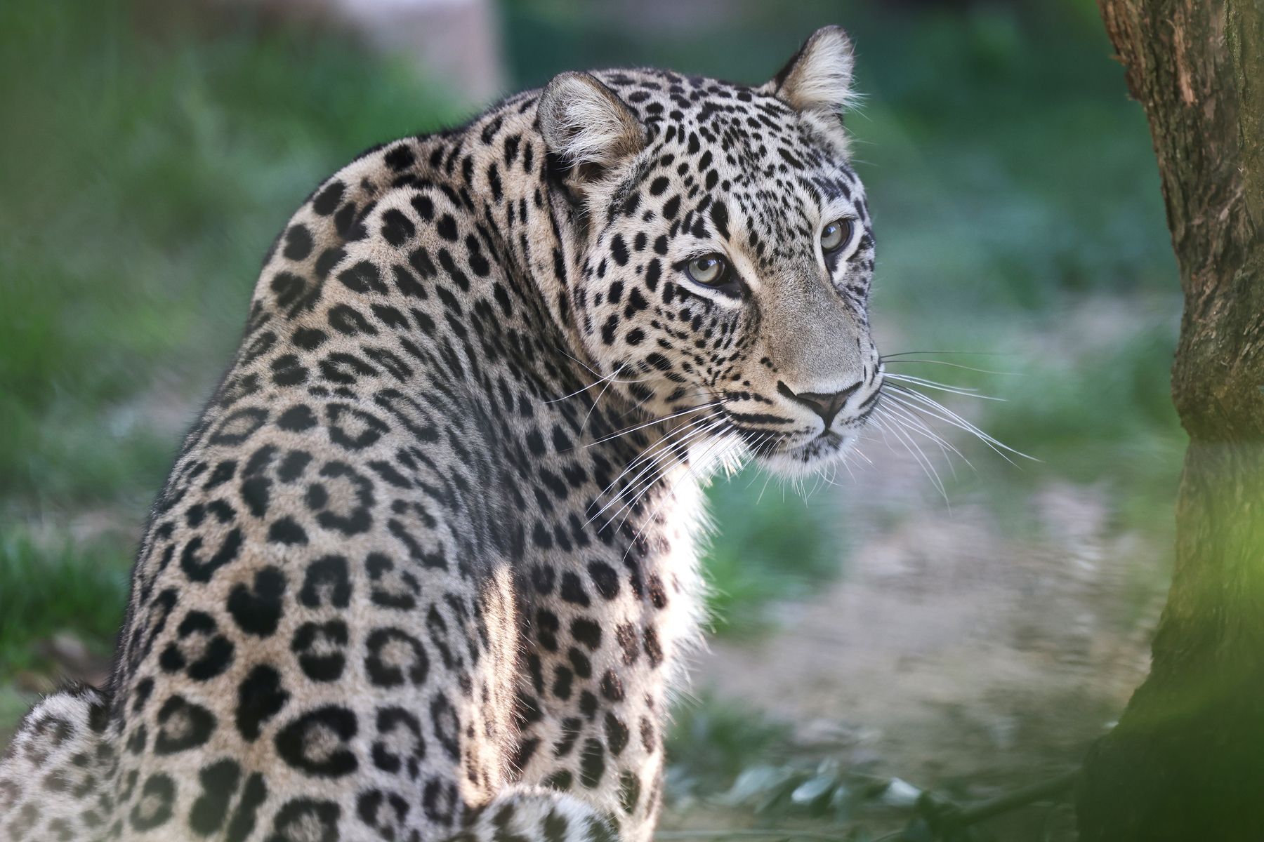 El Jardín Zoológico de Lisboa es uno de los principales polos de atrac ción turística de la capital portuguesa.