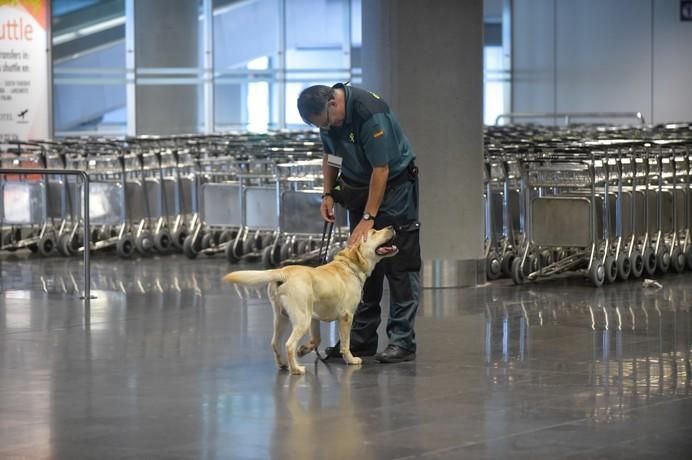 REPORTAJE UNIDAD CANINA AEROPUETO DE GRAN CANARIA