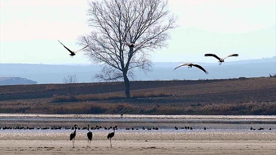 El CSIC investiga el impacto agrícola en los humedales