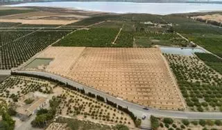 Cinco mil hectáreas de la Vega Baja se regarán con agua recuperada en el litoral de lluvias torrenciales