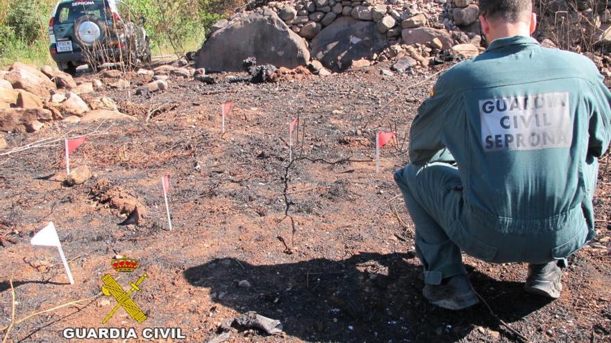 El Seprona investiga el origen del incendio