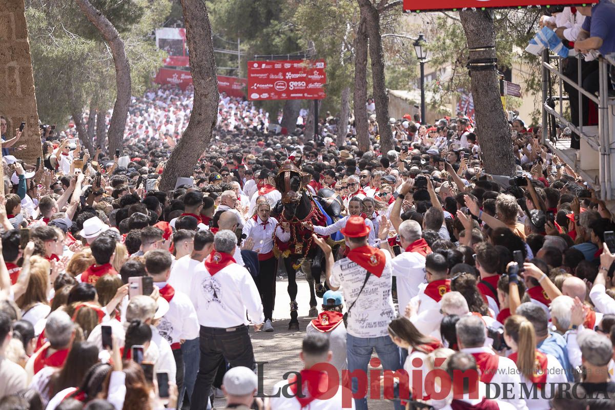 Así se ha vivido la carrera de Los Caballos del Vino en Caravaca